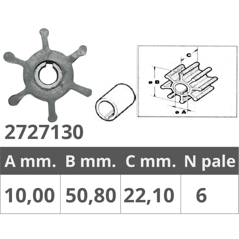 GIRANTE RENAULT 48300037/55