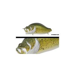 ADUSTA ZACRAWL YAJIROBEE - MURRAY COD