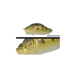ADUSTA ZACRAWL YAJIROBEE - GOLDEN PEACOCK BASS