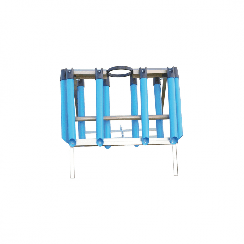 SELE REGGICANNA GARA