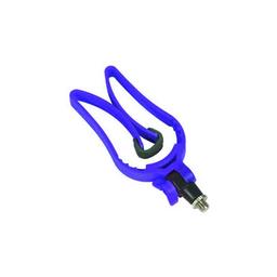 SELE REGGICANNA TULIP