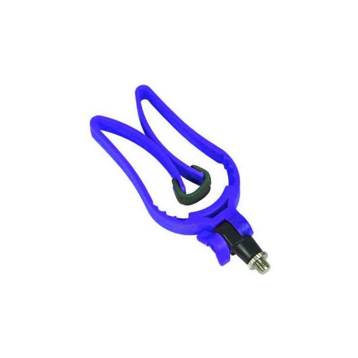 SELE REGGICANNA TULIP