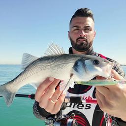 SPANISH LURES MESIAS