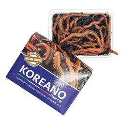 TAKE ME BAITS KOREANO MAGNUM