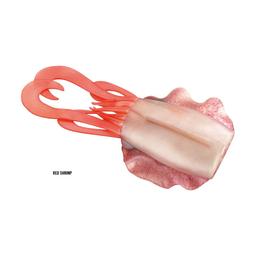 AKAMI BODY SEPIADE - RED SHRIMP