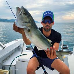 AKAMI NORTON ACID RODS - 12