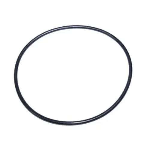 o-ring corpo pompa yamaha selva