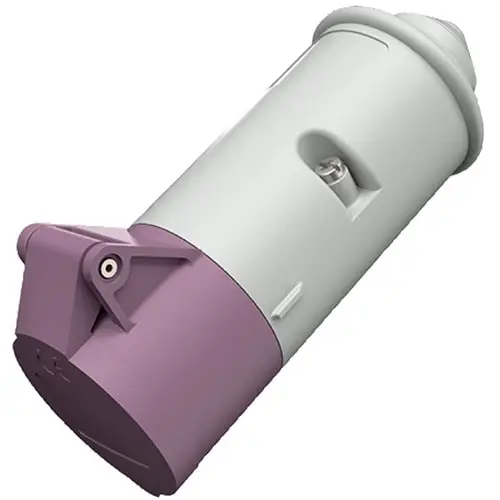 presa spina viola