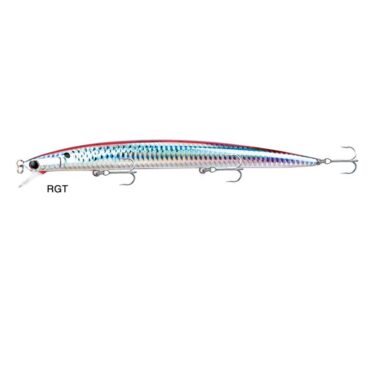 AKAMI WILD 140 - RGT
