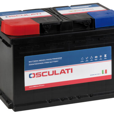 Batteria serie plus 65Ah