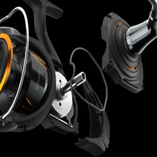 MULINELLO DAIWA BG SW SPINNING - immagine 2