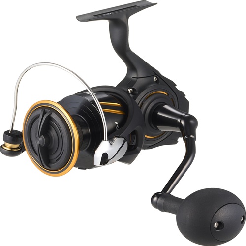 MULINELLO DAIWA BG SW SPINNING - immagine 3